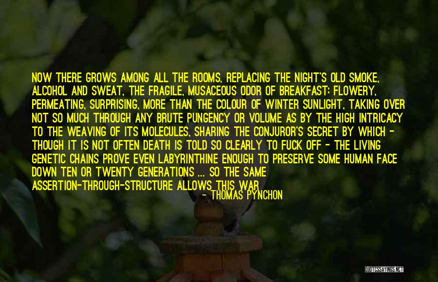 My Kind Of Breakfast Quotes By Thomas Pynchon My Kind Of Breakfast Quotes By Thomas Pynchon