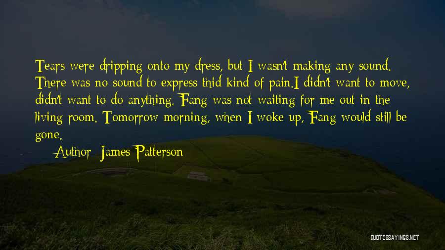 My Kind Of Morning Quotes By James Patterson