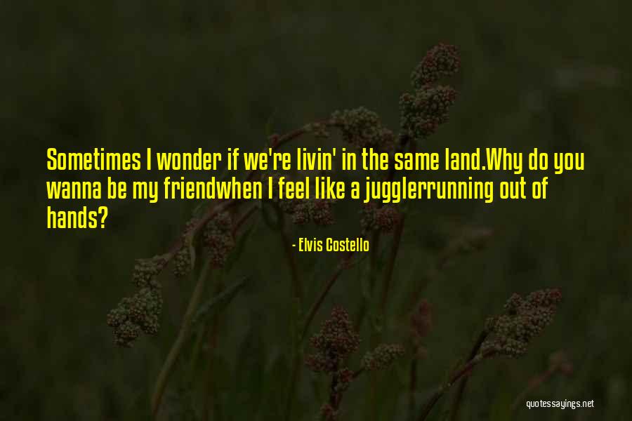 My Land Quotes By Elvis Costello