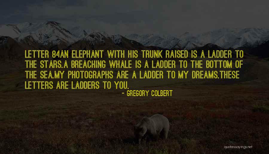 My Letter Quotes By Gregory Colbert My Letter Quotes By Gregory Colbert