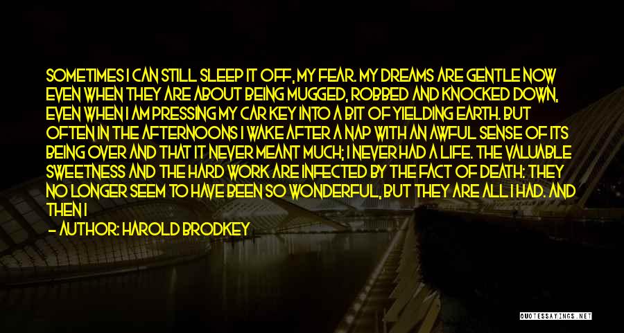 My Life After Now Quotes By Harold Brodkey