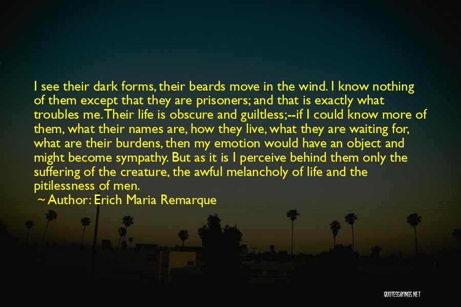 My Life As I Know It Quotes By Erich Maria Remarque