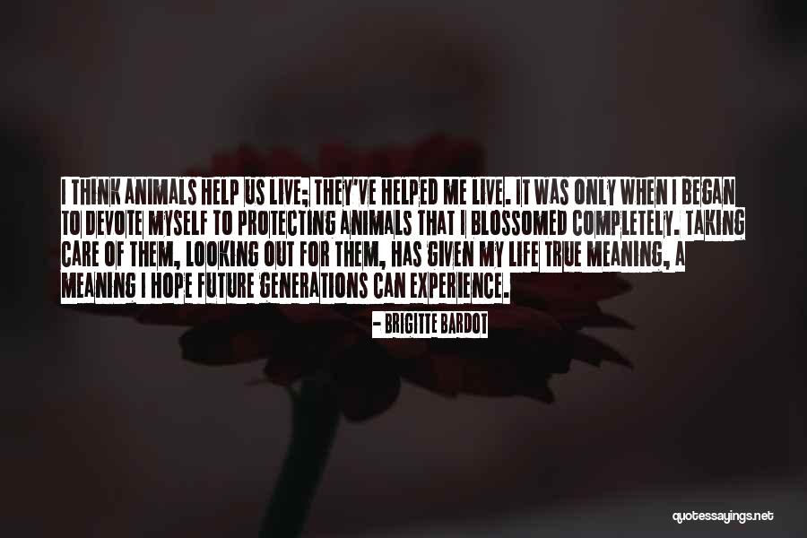 My Life Began Quotes By Brigitte Bardot My Life Began Quotes By Brigitte Bardot
