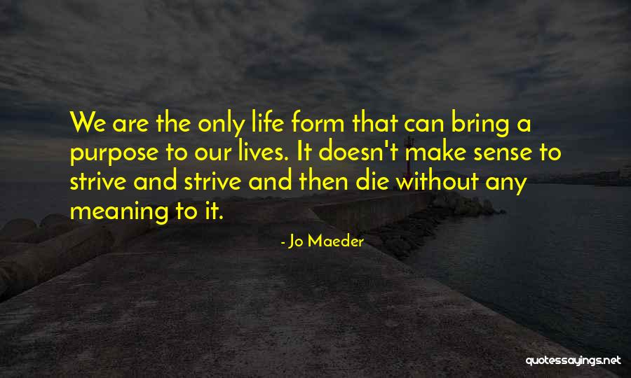 My Life Doesn't Make Sense Quotes By Jo Maeder My Life Doesn't Make Sense Quotes By Jo Maeder