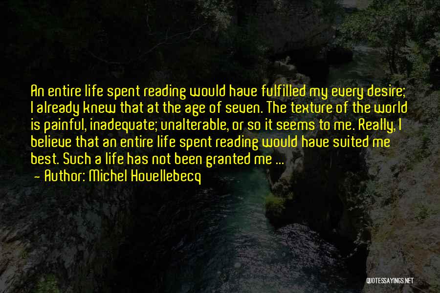 My Life Happiness Quotes By Michel Houellebecq