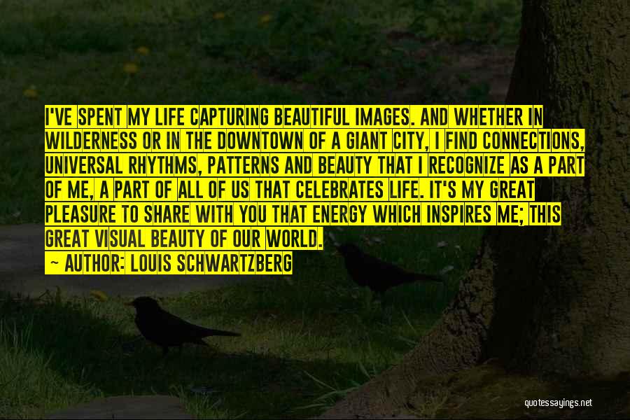 My Life Images Quotes By Louis Schwartzberg