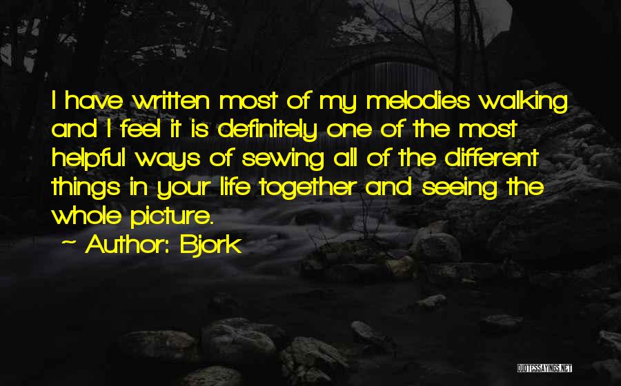 My Life In One Picture Quotes By Bjork