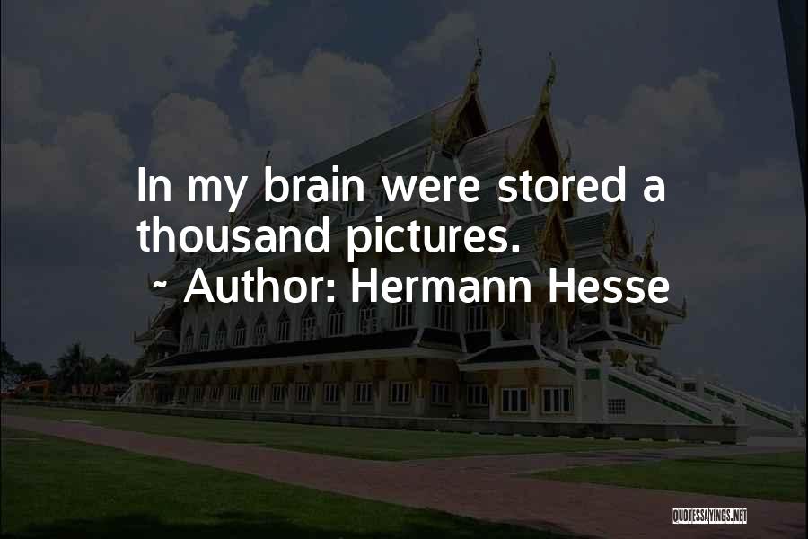 My Life In Pictures Quotes By Hermann Hesse My Life In Pictures Quotes By Hermann Hesse