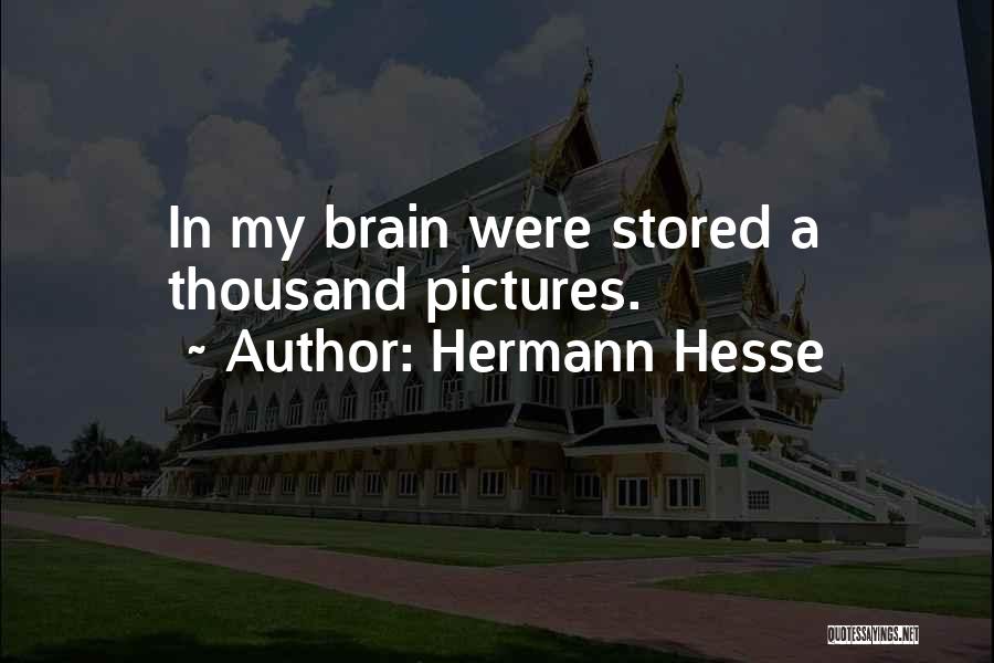 My Life In Pictures Quotes By Hermann Hesse