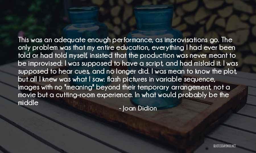 My Life In Pictures Quotes By Joan Didion