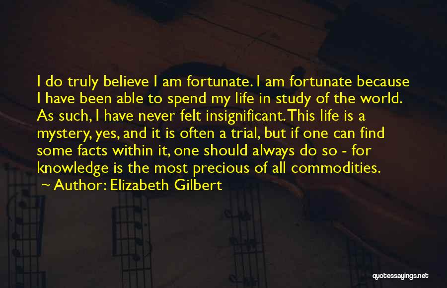 My Life Is A Mystery Quotes By Elizabeth Gilbert