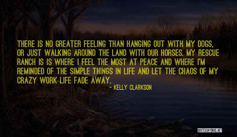 My Life Is Crazy Quotes By Kelly Clarkson My Life Is Crazy Quotes By Kelly Clarkson