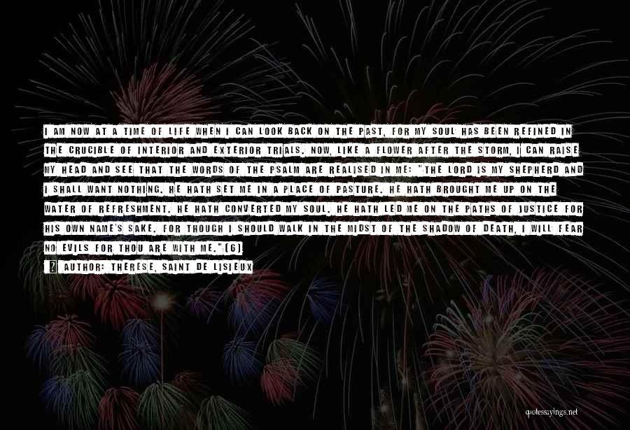 My Life Is Like A Storm Quotes By Therese, Saint De Lisieux