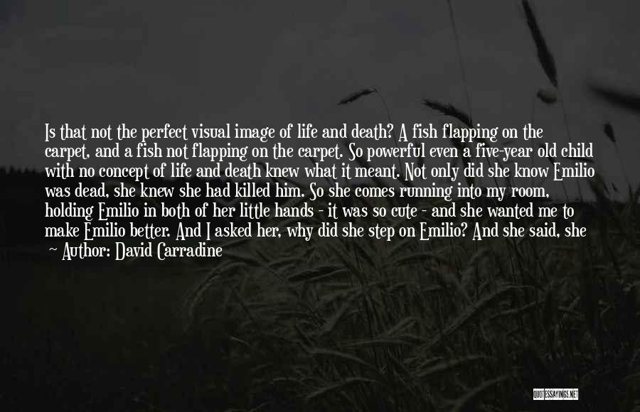 My Life Is Not Perfect But Quotes By David Carradine