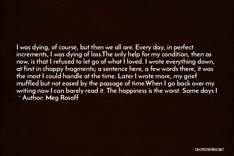 My Life Is Not Perfect But Quotes By Meg Rosoff