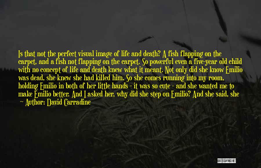 My Life Is Not Perfect Quotes By David Carradine