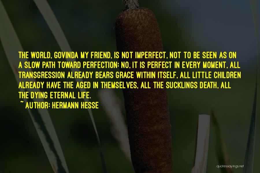 My Life Is Not Perfect Quotes By Hermann Hesse