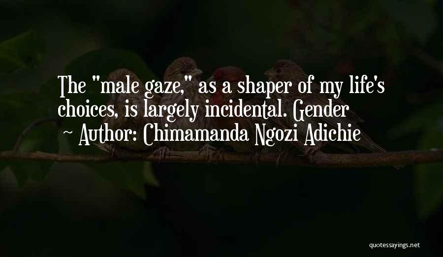 My Life Is Quotes By Chimamanda Ngozi Adichie