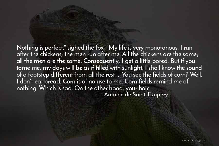 My Life Is Sad Quotes By Antoine De Saint-Exupery