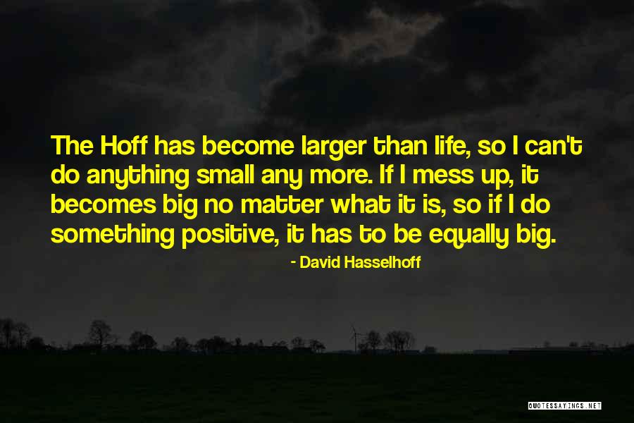 My Life Is Such A Mess Quotes By David Hasselhoff