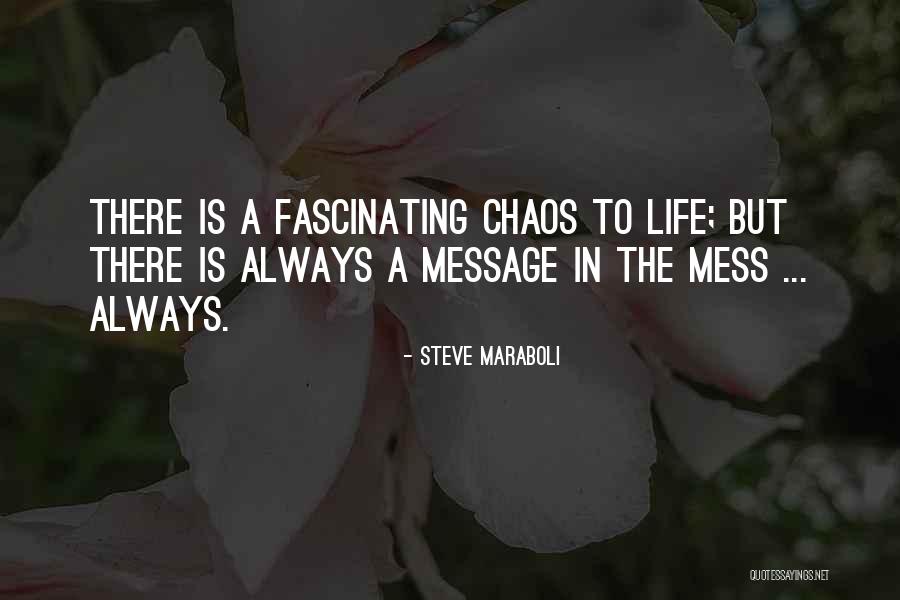 My Life Is Such A Mess Quotes By Steve Maraboli