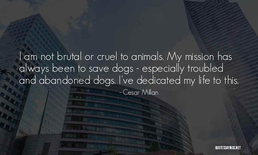 My Life Life Quotes By Cesar Millan