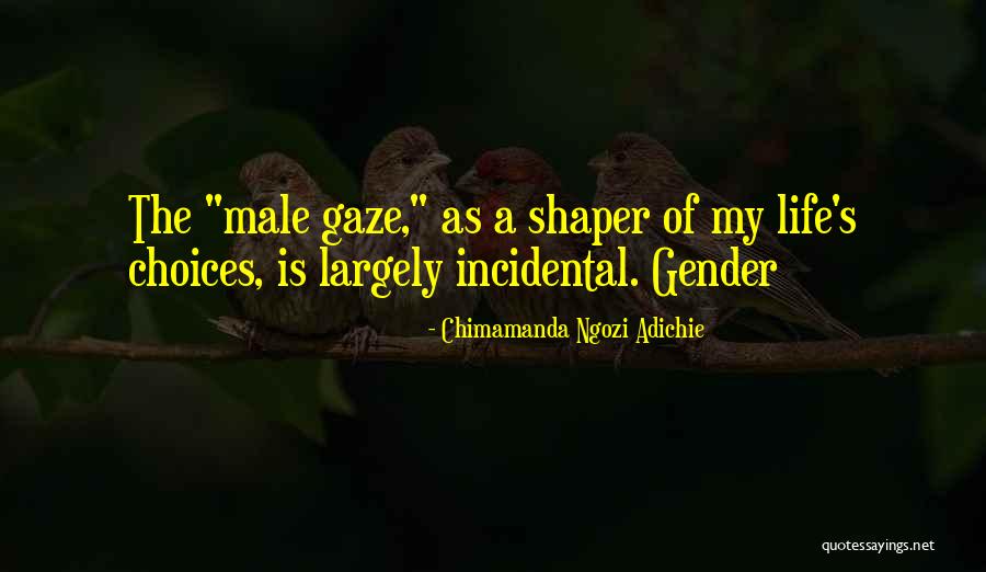 My Life My Quotes By Chimamanda Ngozi Adichie My Life My Quotes By Chimamanda Ngozi Adichie