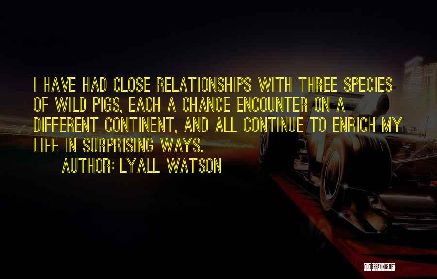 My Life My Ways Quotes By Lyall Watson