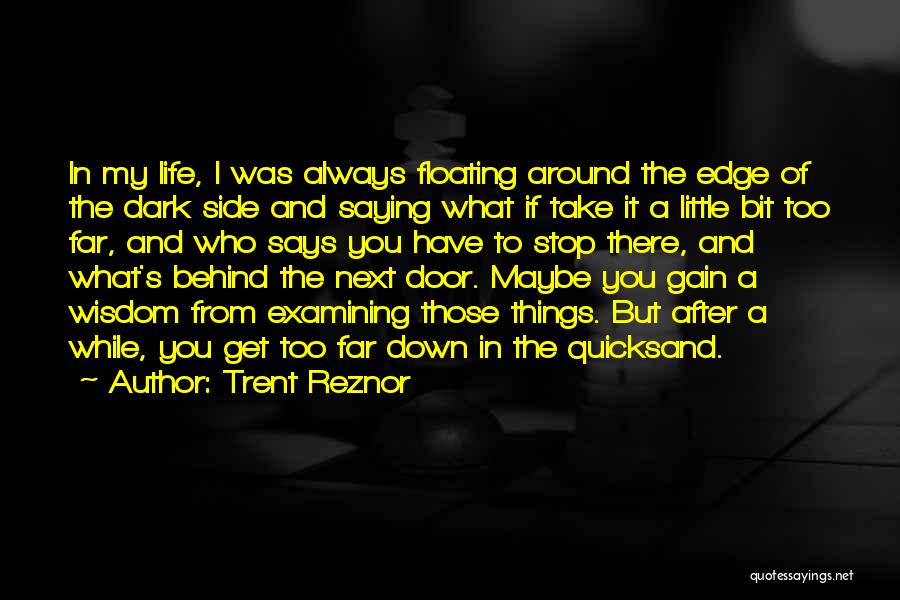 My Life Next Door Quotes By Trent Reznor
