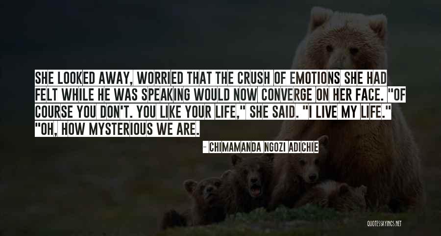 My Life Now Quotes By Chimamanda Ngozi Adichie My Life Now Quotes By Chimamanda Ngozi Adichie