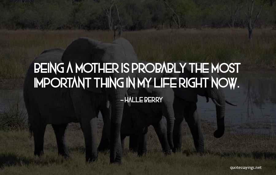 My Life Now Quotes By Halle Berry My Life Now Quotes By Halle Berry