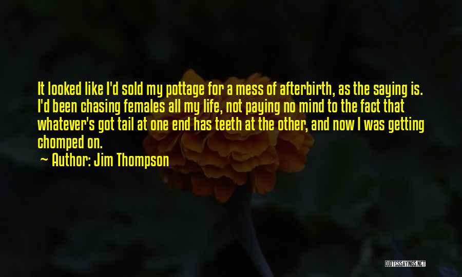 My Life's A Mess Quotes By Jim Thompson
