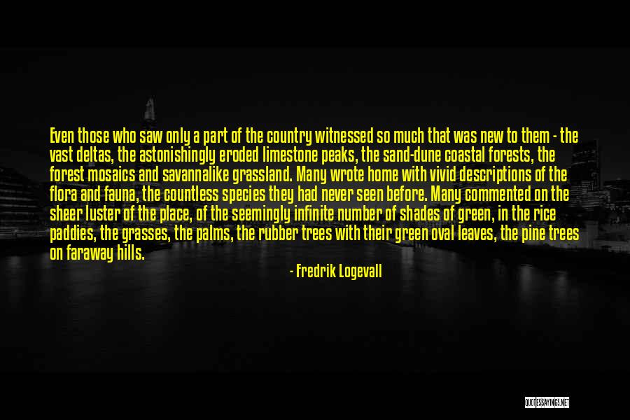 My Limestone Quotes By Fredrik Logevall My Limestone Quotes By Fredrik Logevall