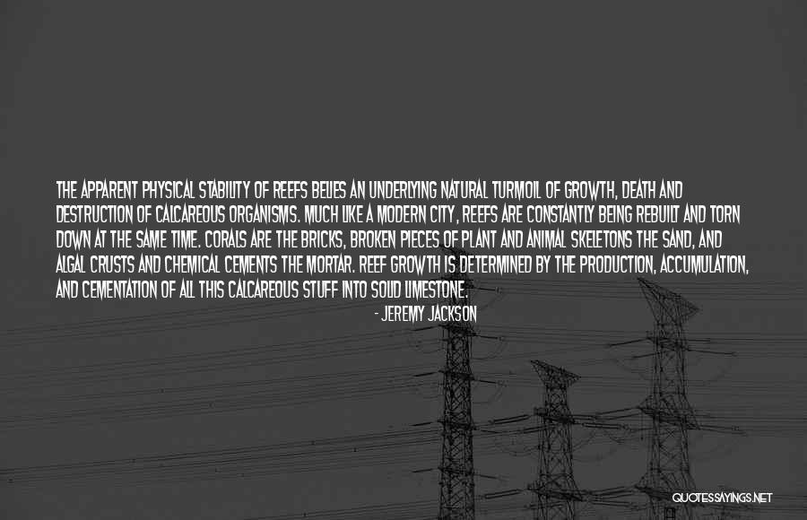 My Limestone Quotes By Jeremy Jackson My Limestone Quotes By Jeremy Jackson