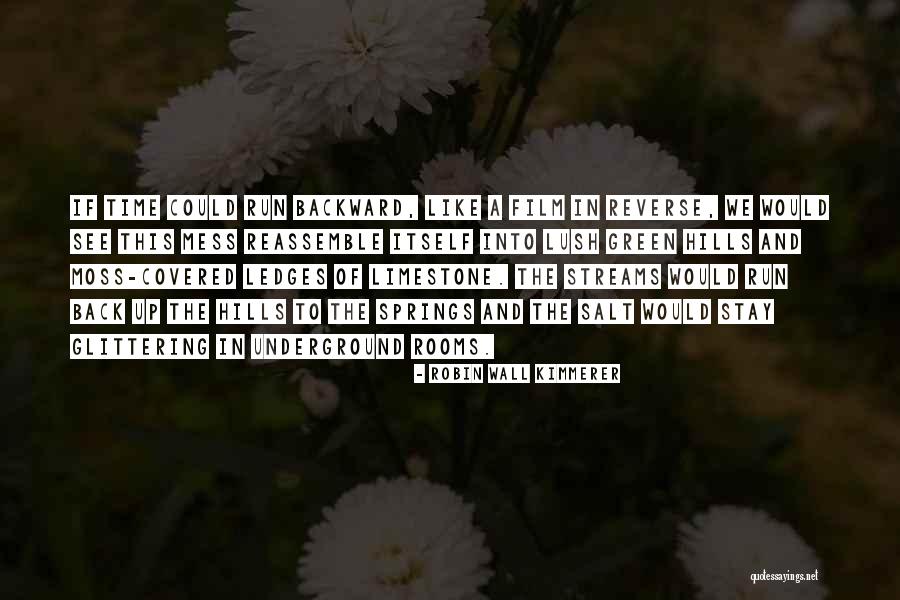 My Limestone Quotes By Robin Wall Kimmerer My Limestone Quotes By Robin Wall Kimmerer