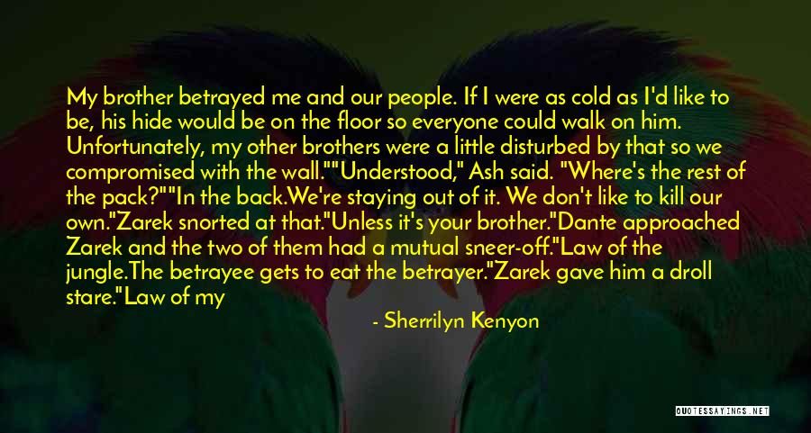 My Little Brothers Quotes By Sherrilyn Kenyon