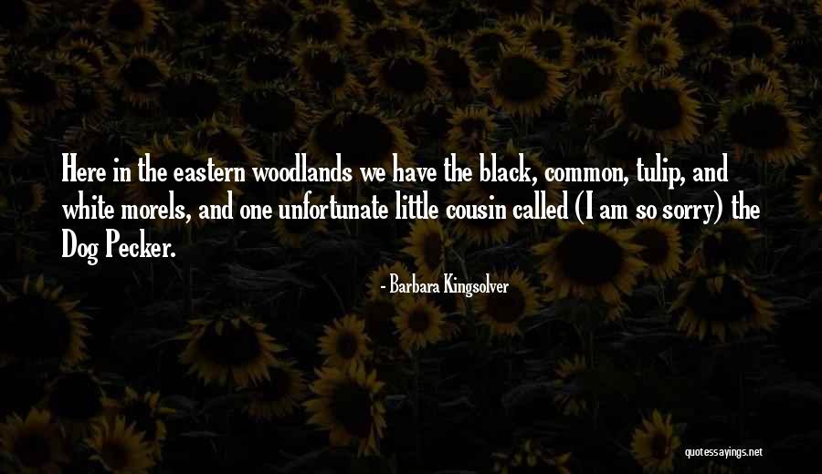 My Little Cousin Quotes By Barbara Kingsolver My Little Cousin Quotes By Barbara Kingsolver