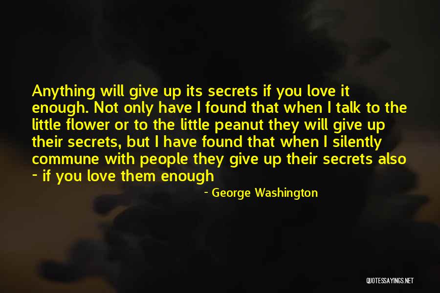 My Little Peanut Quotes By George Washington My Little Peanut Quotes By George Washington
