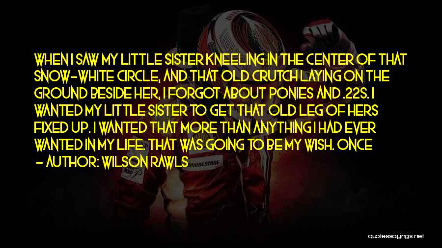 My Little Sister Is My Life Quotes By Wilson Rawls
