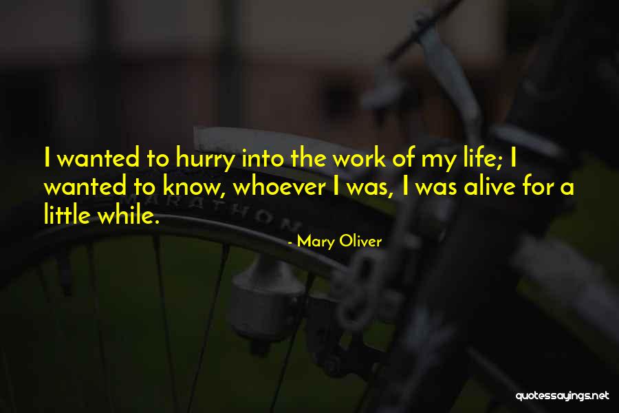 My Littles Quotes By Mary Oliver My Littles Quotes By Mary Oliver