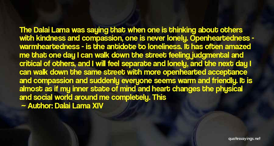 My Lonely Heart Quotes By Dalai Lama XIV