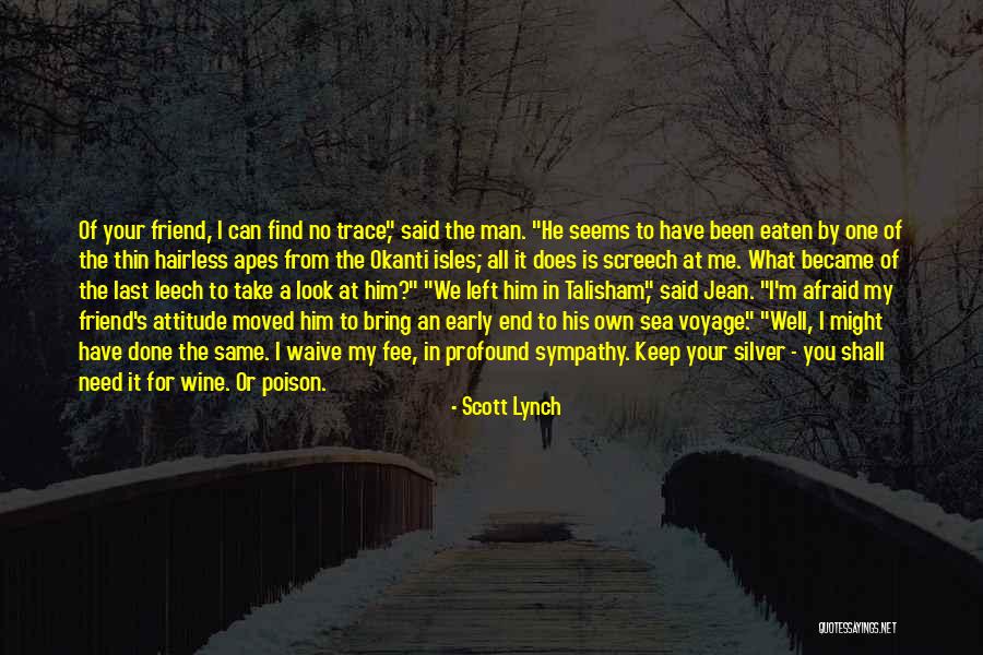 My Look Attitude Quotes By Scott Lynch