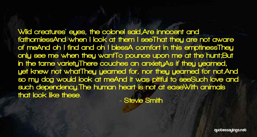 My Love For Animals Quotes By Stevie Smith