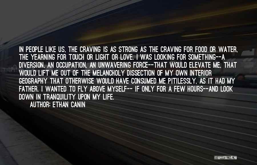 My Love For Food Quotes By Ethan Canin