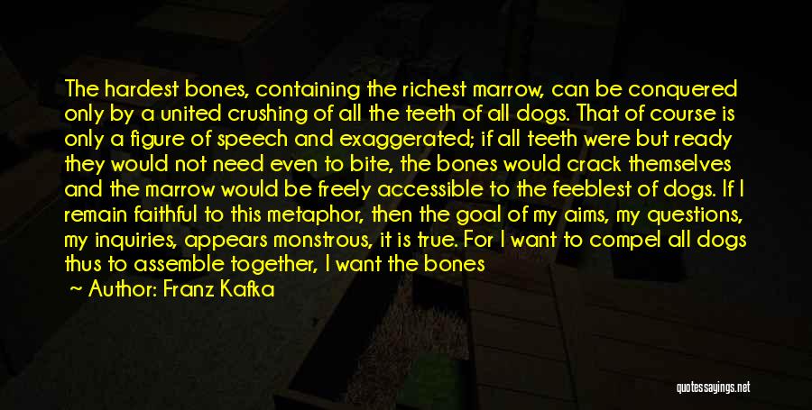 My Love For Food Quotes By Franz Kafka