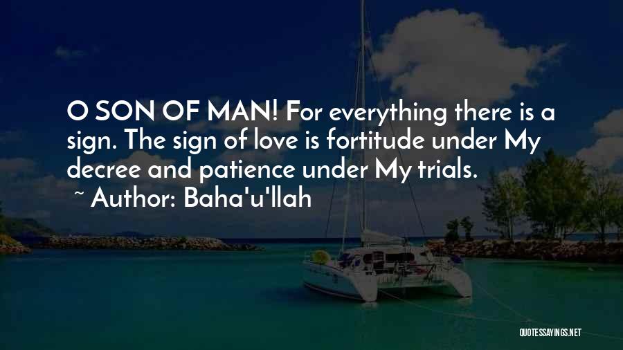 My Love For U Quotes By Baha'u'llah