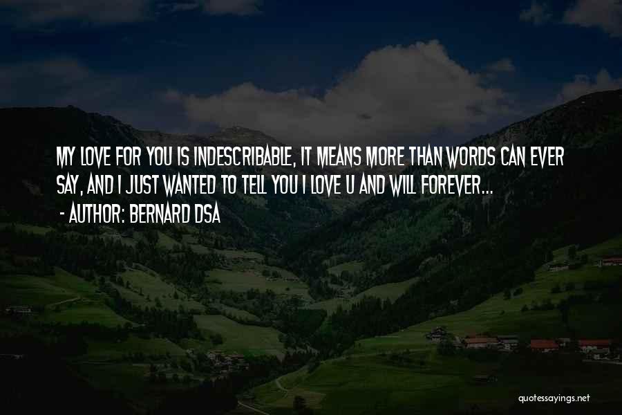 My Love For You Is Indescribable Quotes By Bernard Dsa