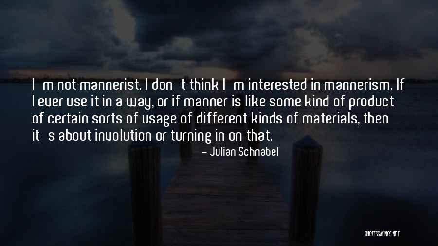 My Mannerism Quotes By Julian Schnabel