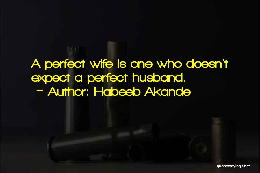 My Marriage Is Not Perfect Quotes By Habeeb Akande