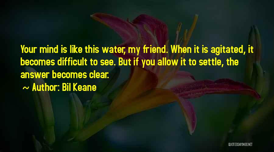 My Mind Is Clear Quotes By Bil Keane